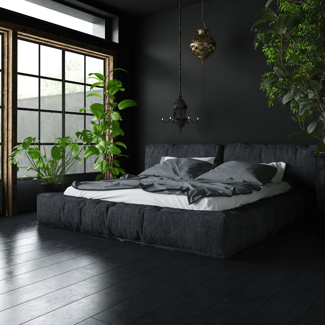 Bedroom Plants 6 Best Choices to Improve
