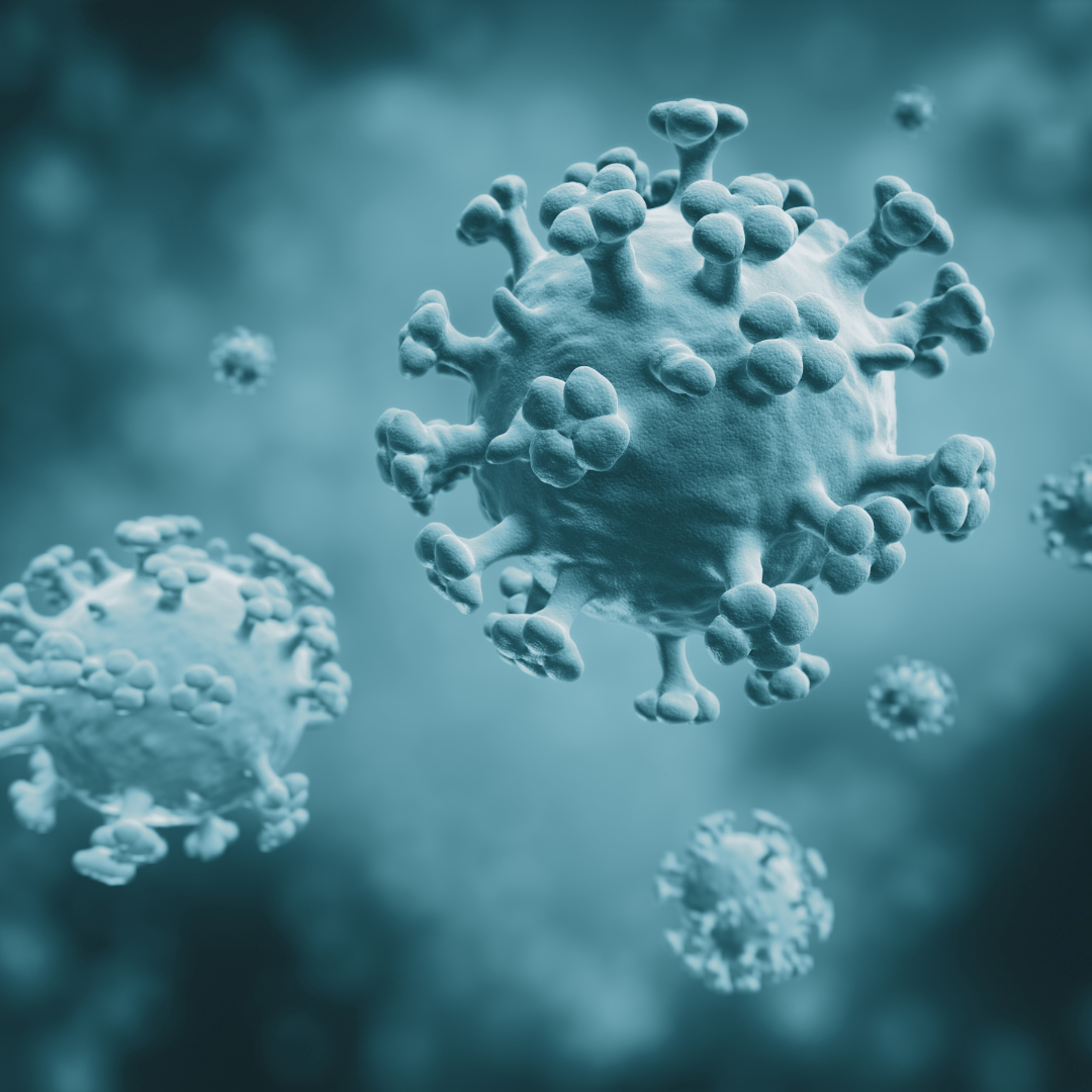 First Human Bird Flu