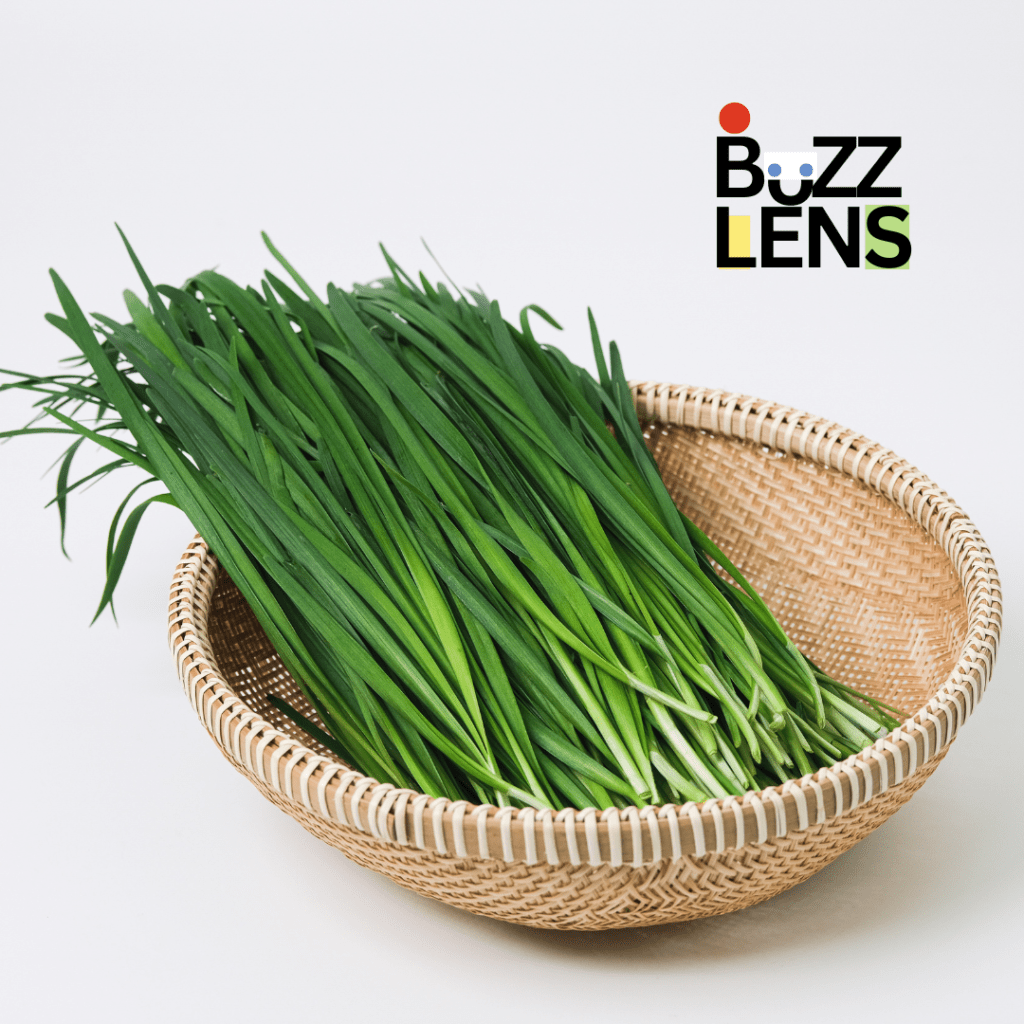 Health Benefits of Chives