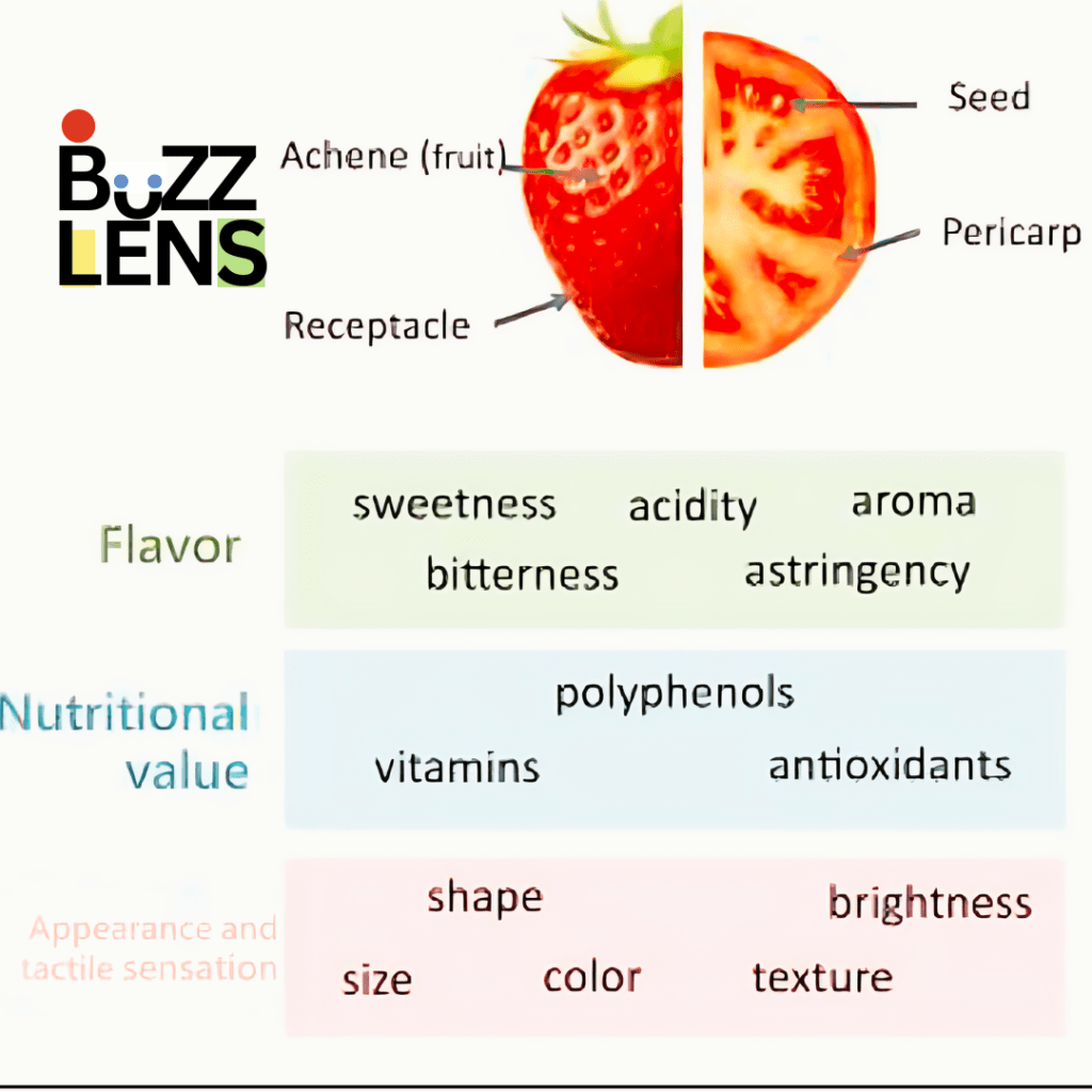 Strawberries Antioxidant Properties