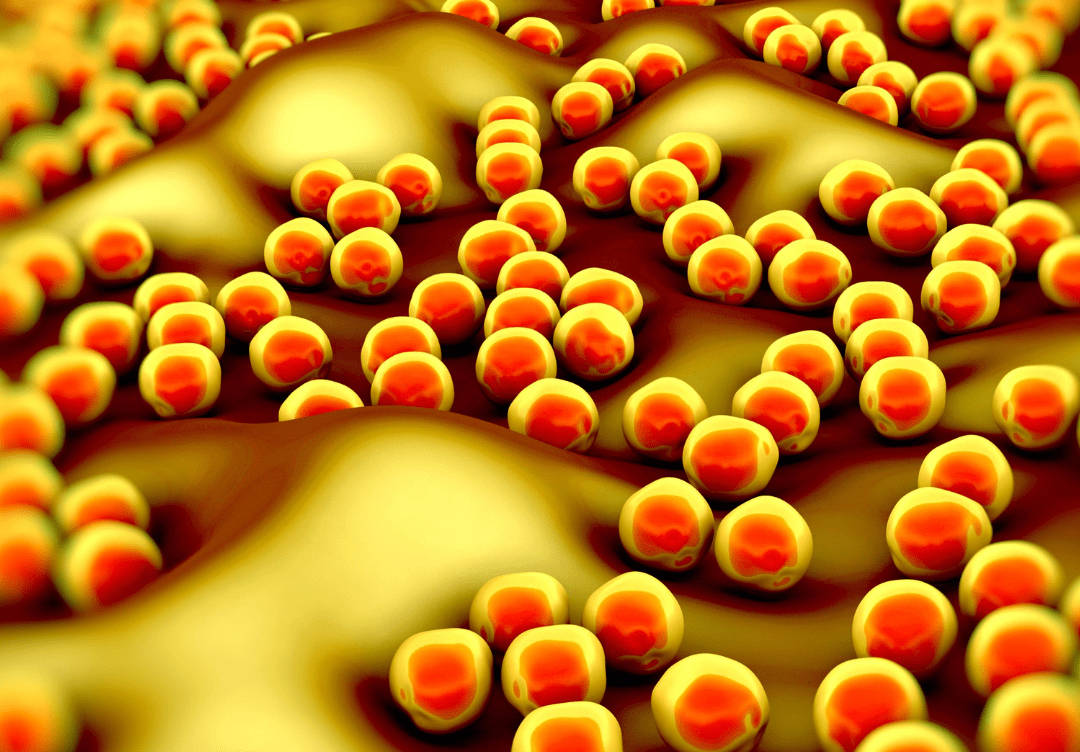 Superbug Crisis Could Lead to Nearly 40 Million Deaths by 2050, New Study Projects