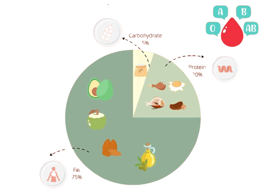 Understanding the Blood Type Diet: How It Works and Its Benefits